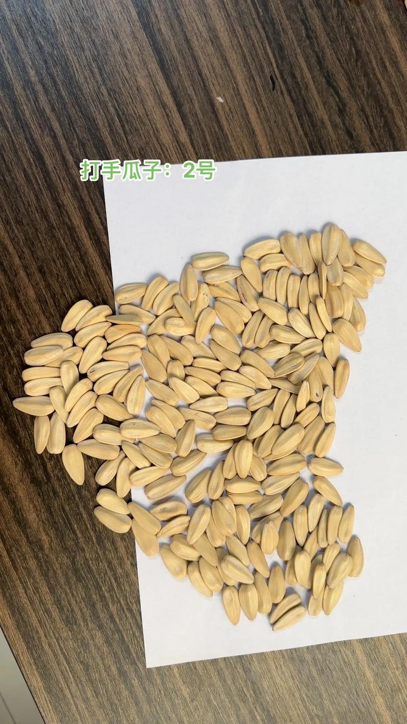 自家工廠生產(chǎn) #葵花籽 #廠家 #好貨#脫皮瓜子 追光的人 - 抖音